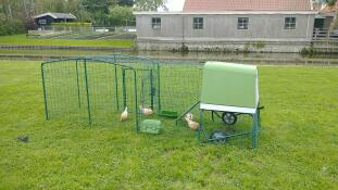 Un poulailler vert et un parcours relié à un parcours bas