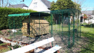 Grand enclos pour poules