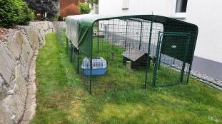 Un parc à lapins pour protéger les lapins.