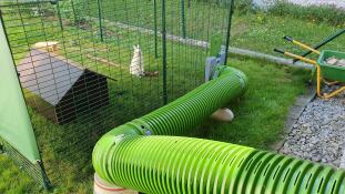 Un parcours pour lapins Zippi reliant un clapier à un parcours pour lapins.