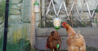 Jouets à picorer