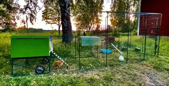 Un poulailler et un parcours attachés à un grand parcours intérieur