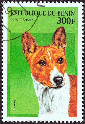 Un basenji sur un timbre d'afrique de l'ouest 1