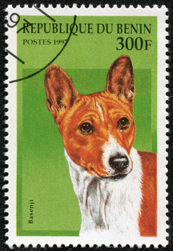 Un basenji sur un timbre d'afrique de l'ouest 2