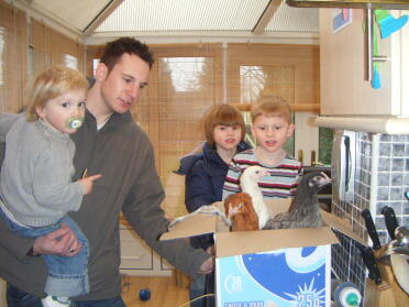 Ramener des poulets à la maison le jour de la saint-valentin 2009
