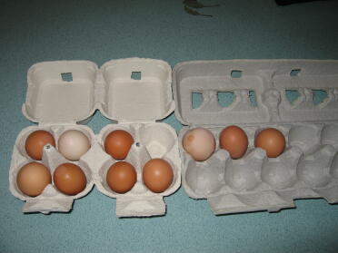 Nombre d'œufs du jour 6 moins celui qui n'avait pas de coquille