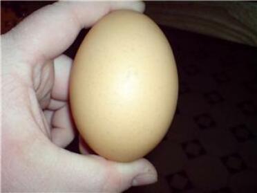 L'énorme œuf de 129 g