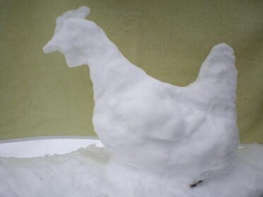 Snow poulet