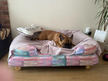 Belle adore son nouveau lit !