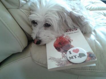 molly le chien admirant la couverture de police du livre de poulet