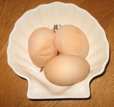 3 œufs pondus par la même poule, Caramel, un jour comme vous pouvez le voir 2 d'entre eux sont à coquille molle.