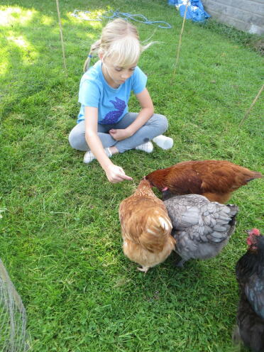 Rebecca avec des poules