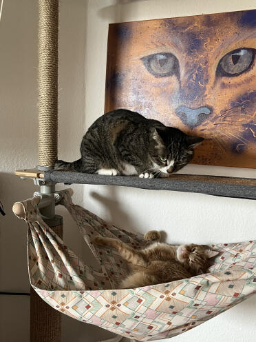 Deppie et dexter 
