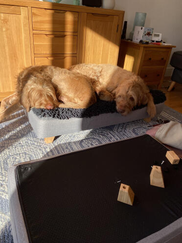 Peggy était impatiente de voir son lit construit !