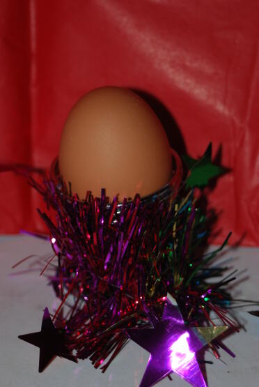 Notre premier œuf - livré le 23 décembre 2007 et c'était délicieux