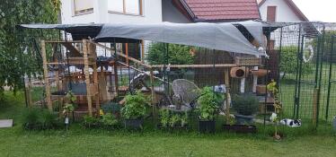 Un grand catio avec de nombreux accessoires entouré de plantes