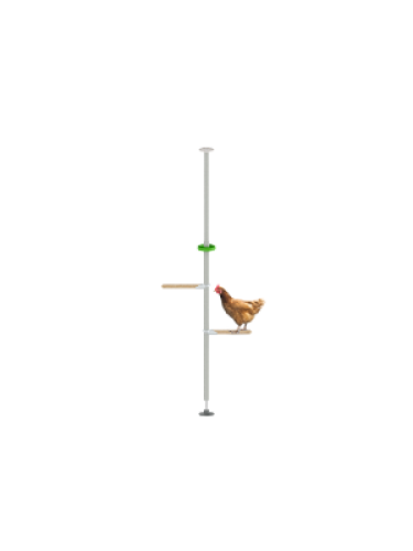 L'egGokit nomique pour Poletree arbre perchoir personnalisable