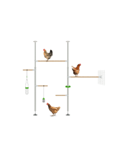 Poletree système de perchoir pour poules en arbre installation hensemble
