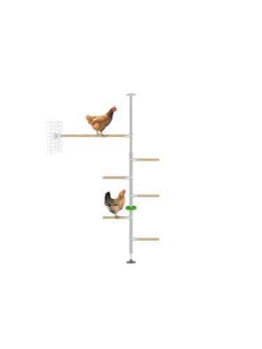 Poletree système de perchoir pour poulailler - le kit hendurance