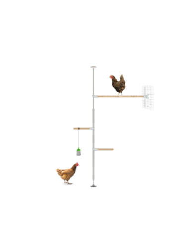 Le kit eggcercise pour Poletree arbre à perchoir personnalisable