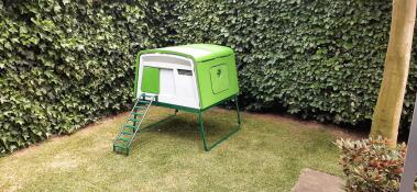 Un poulailler vert dans le coin d'un jardin