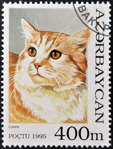 Un timbre d'azerbaïdjan avec une cymrique imprimée dessus