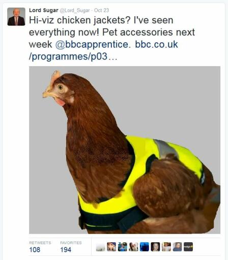 Des vestes de poulet à haute visibilité comme on en voit dans l'émission 