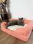 Un chat se reposant sur un tapis réfrigérant qui se trouve sur un lit pour chat.
