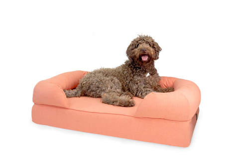 Un grand chien brun assis sur un grand lit traversin rose en mousse à mémoire de forme lit traversin