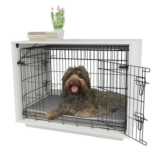 Fido Nook 36 avec caisse blanche
