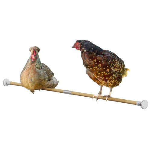 Double perchoir à poulets
