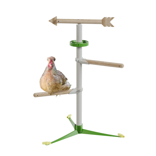 Poule dans le kit de système de perchoir autoportant