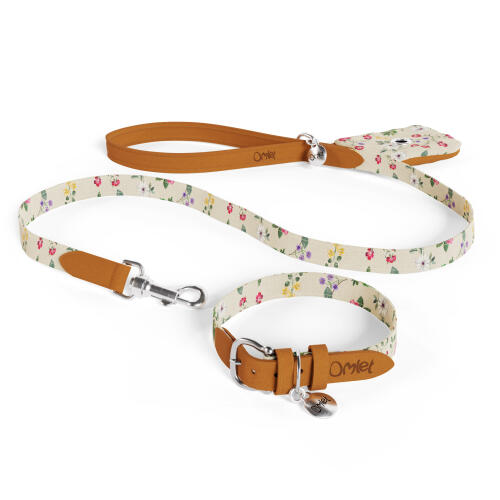 Laisse pour chien, collier et porte-sac à crottes en lot de deux