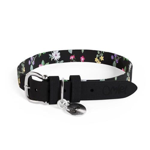 Collier de chien design par Omlet