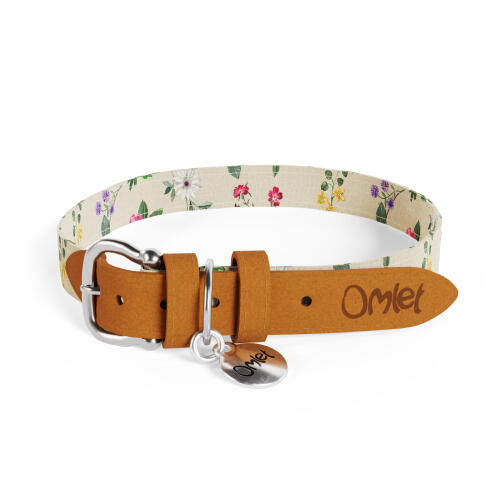 Collier de chien design par Omlet