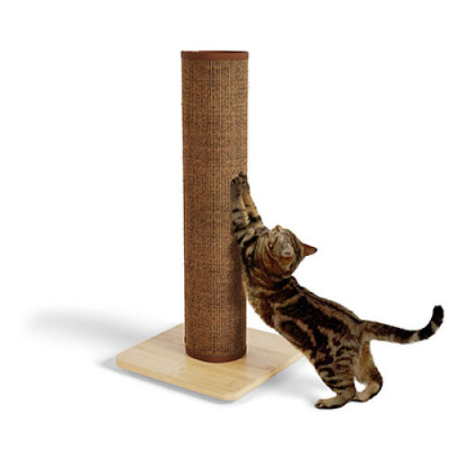 Switch griffoir pour chat en sisal - café