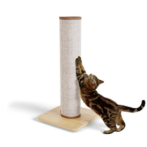 Switch griffoir pour chat en sisal - crème