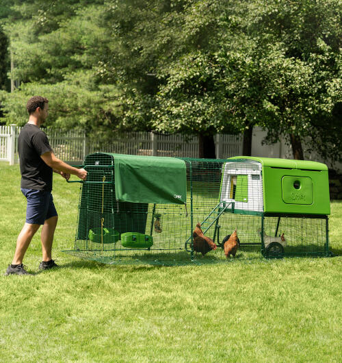 Un homme qui déplace son poulailler Eglu Cube