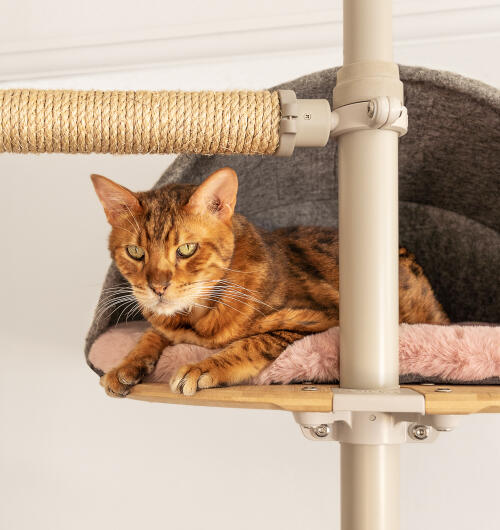 Un chat assis sur la plate-forme en peau de mouton rose.
