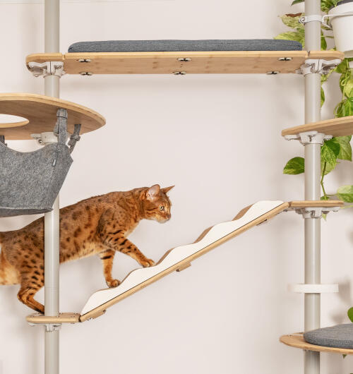 Un chat utilisant l'arbre à chat d'intérieur Freestyle équipé de divers accessoires.