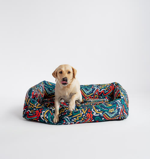 Petit retriever dans un nid douillet Omlet en imprimé zoomies