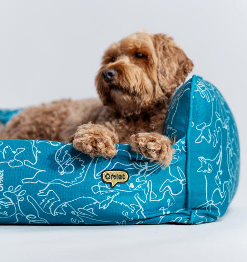 Chien brun couché dans un nid douillet Omlet en bleu sarcelle