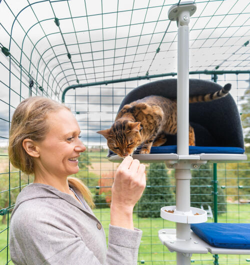 Une femme caresse son chat sur l'arbre à chat Freestyle 