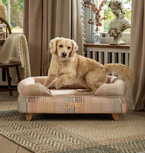 Labrador sautant d’un panier Bolster surélevé en imprimé Pawsteps Natural avec pieds carrés en bois.