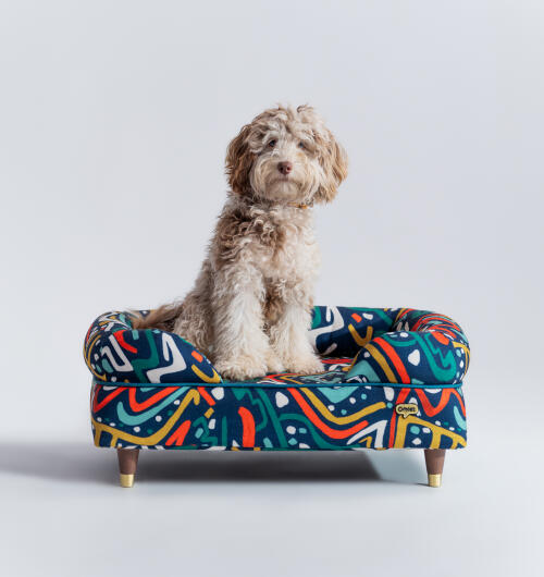 Chien en peluche assis dans un traversin de couleur vive