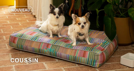 Dog walk collection coussin lit pour chien