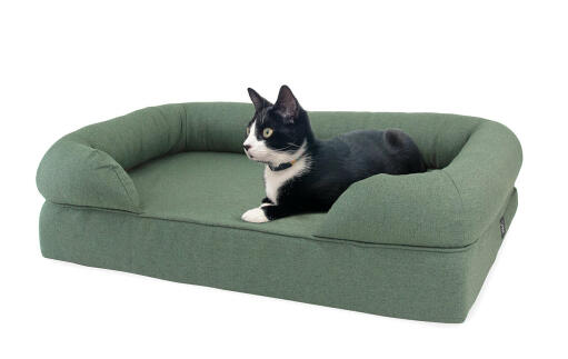 Omlet lit à mémoire de forme pour chats en vert sauge avec chat couché dessus