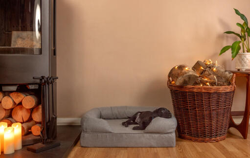 Un petit chien noir couché sur un lit à traversin en mousse à mémoire de forme gris dans un salon