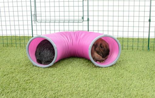 Lapins dans le tunnel de jeu Zippi 