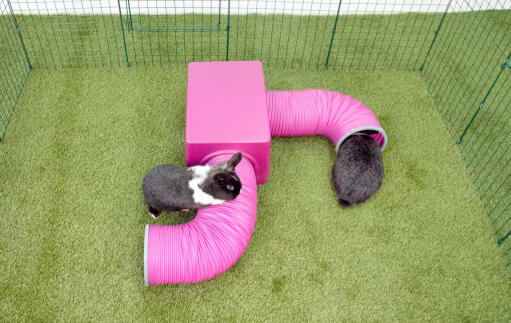 Lapins grimpant sur Zippi abri et tunnels de jeu